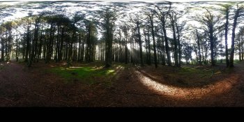 Neptune State Park, Oregon, USA panorama